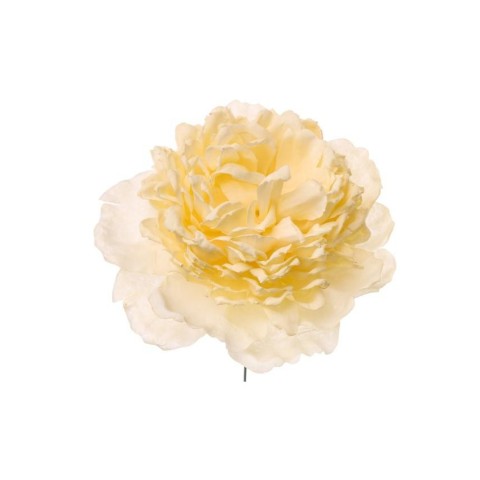 PICK PEONIA CM12 CREMA